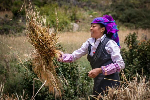 青稞飘香生活馆